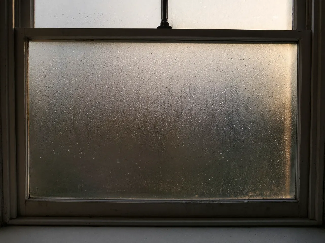 Condensation and damp gathering on a tired, ageing window